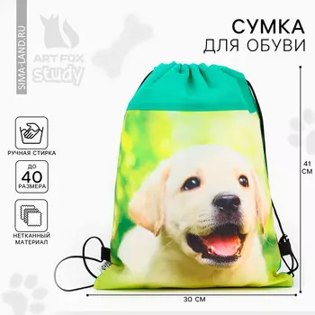 Мешок для обуви