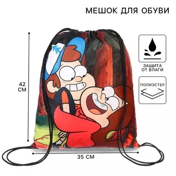 Мешок для обуви 3542 см,