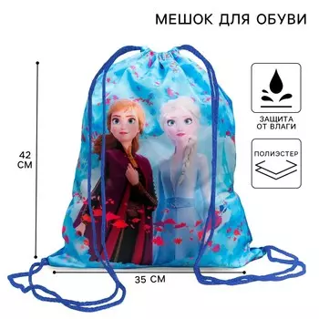 Мешок для обуви 420350 мм