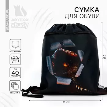 Мешок для обуви danger 2 секции, 30 х 40 см