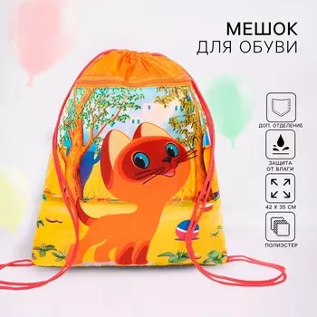 Мешок для обуви с карманом 420350 мм