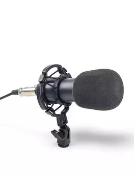 Микрофон конденсаторный music life золотой: кабель, ветрозащита, стойка