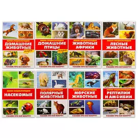 Мини - энциклопедии