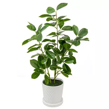 Мини дерево в керамическом горшке