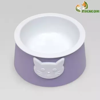 Миска для кошек 2 в 1