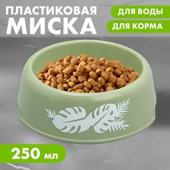 Миска пластиковая