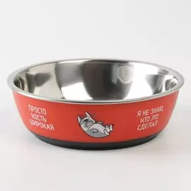 Миска для кошек и собак из нержавеющей стали