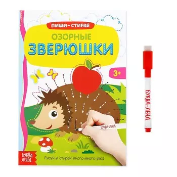 Многоразовая книжка с маркером