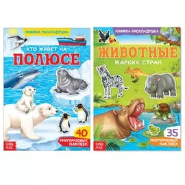 Многоразовые наклейки набор