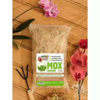 Мох сфагнум