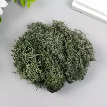 Мох искусственный