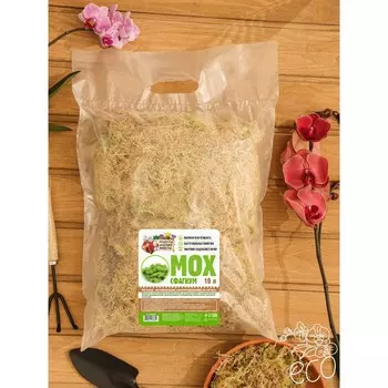 Мох сфагнум