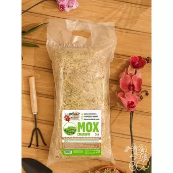 Мох сфагнум