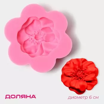 Молд доляна