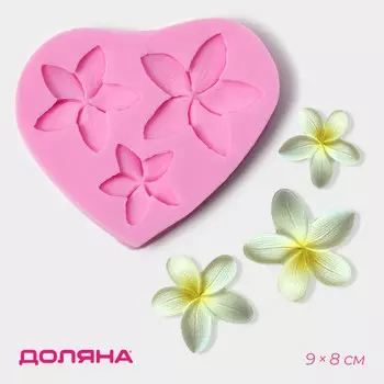 Молд доляна