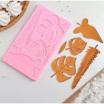 Молд доляна