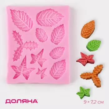 Молд доляна