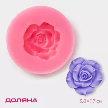 Молд доляна