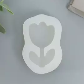 Молд силикон