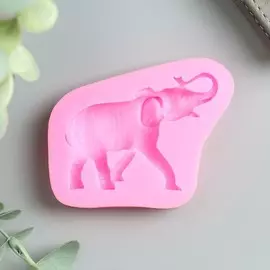 Молд силикон