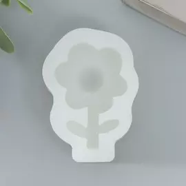 Молд силикон