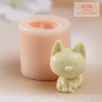 Молд силикон