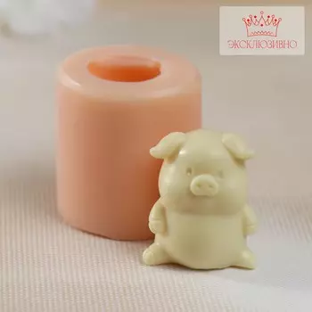 Молд силикон