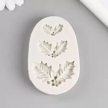 Молд силикон