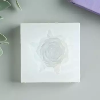 Молд силикон