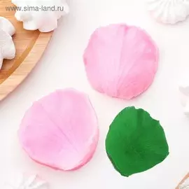 Молд доляна