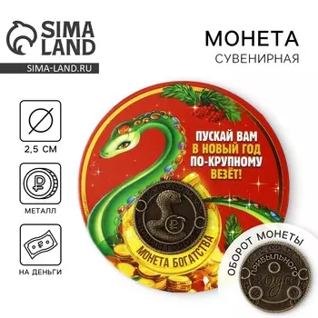 Монета новогодняя амулет