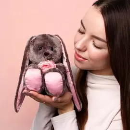 Мягкая игрушка