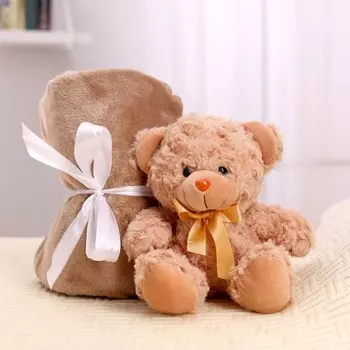 Мягкая игрушка с пледом