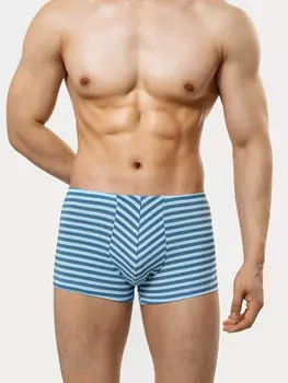 Мужские трусы боксеры в голубую полоску