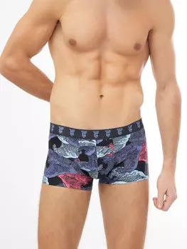 Мужские трусы-боксеры в расцветке