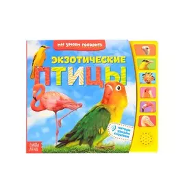 Музыкальная книга