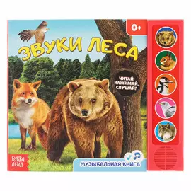 Музыкальная книга