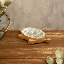 Мыльница