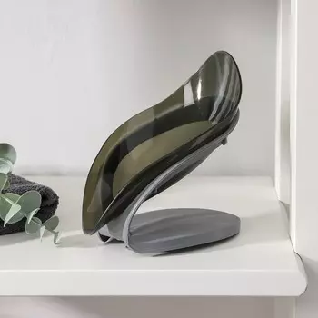 Мыльница доляна