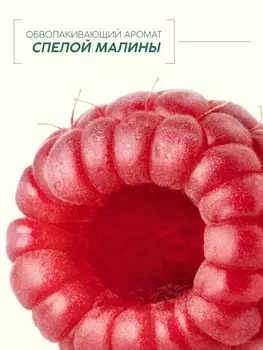 Мыло жидкое для рук, увлажнение и забота, аромат малины, 250 мл, рябина