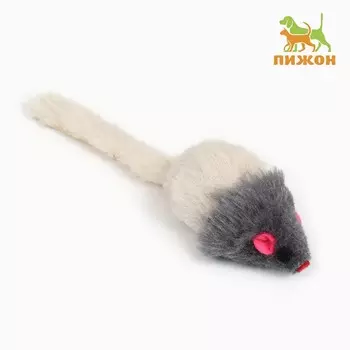 Мышь пушистая