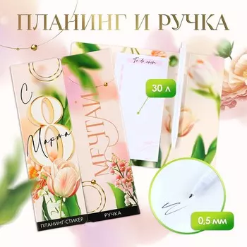 Подарочный набор, планинг-стикеры 30 л, ручка пластик