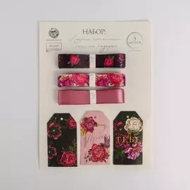 Набор атласных лент