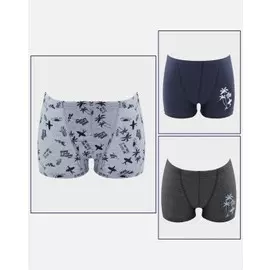 Набор боксеров