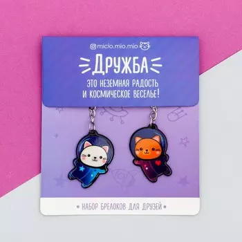 Набор брелоков