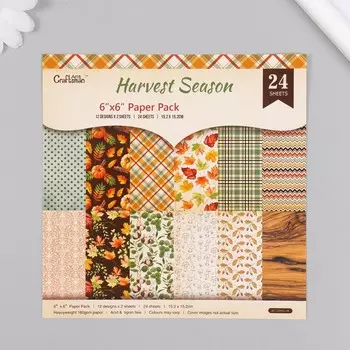 Набор бумаги для скрапбукинга 24 листа 12 дизайнов
