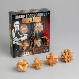 Набор деревянных головоломок