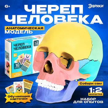 Набор для опытов