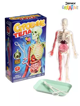 Набор для опытов по анатомии