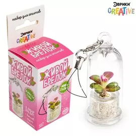 Набор для опыта